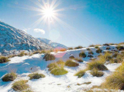 南方潛水電泵的種類有哪些？