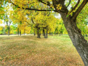 南方立式離心泵老發(fā)噪聲是什么原因？