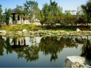 為什么現(xiàn)在南方電機(jī)比以前更容易燒壞？