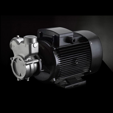 南方泵業(yè)QY（B），QYL（B）不銹鋼自吸氣液混合泵